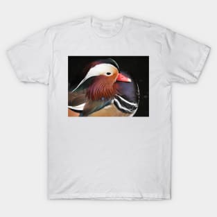 Mandarin Duck T-Shirt